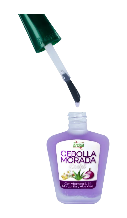 Base endurecedora Cebolla Morada Brescia