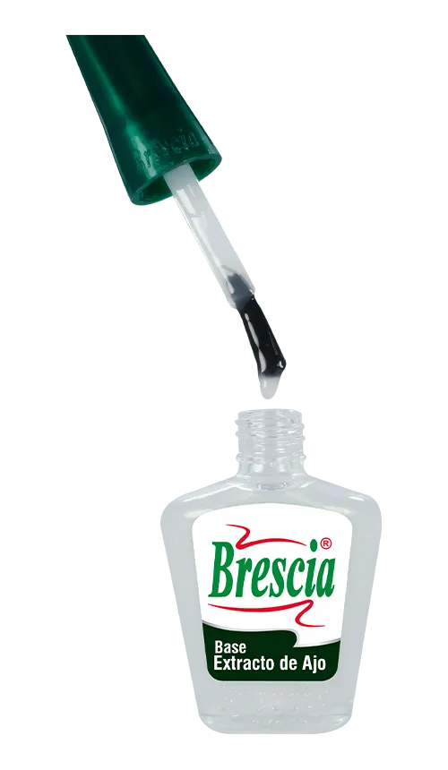 Base Endurecedora Extracto de Ajo Brescia